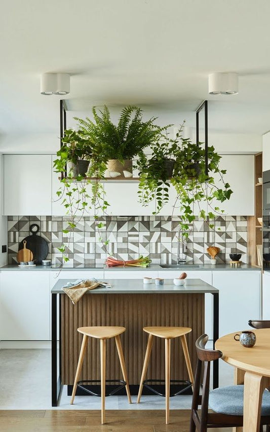 Green Cuisine: The Best Plants for Your Kitchen
