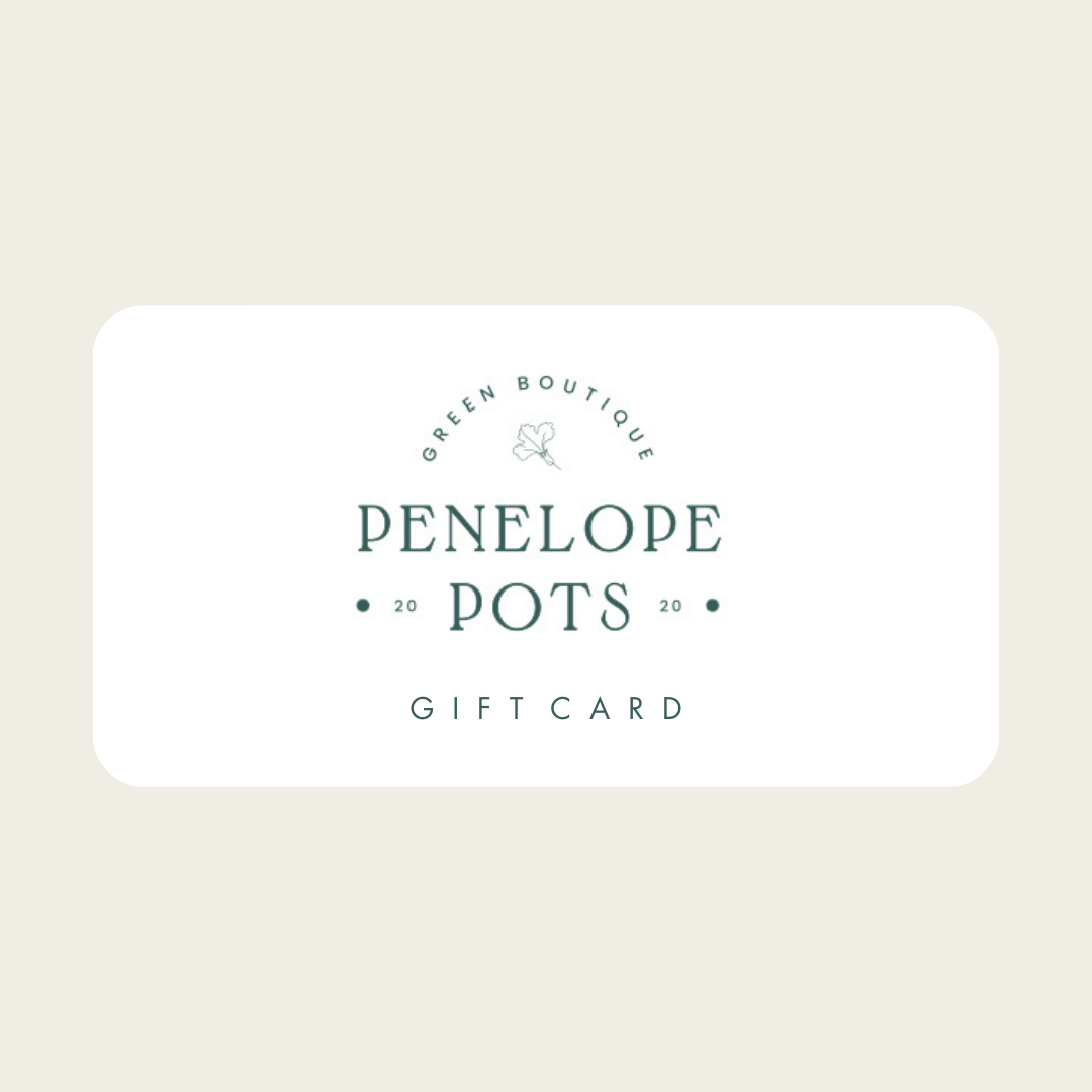 Penelope Pots E-Gift Card