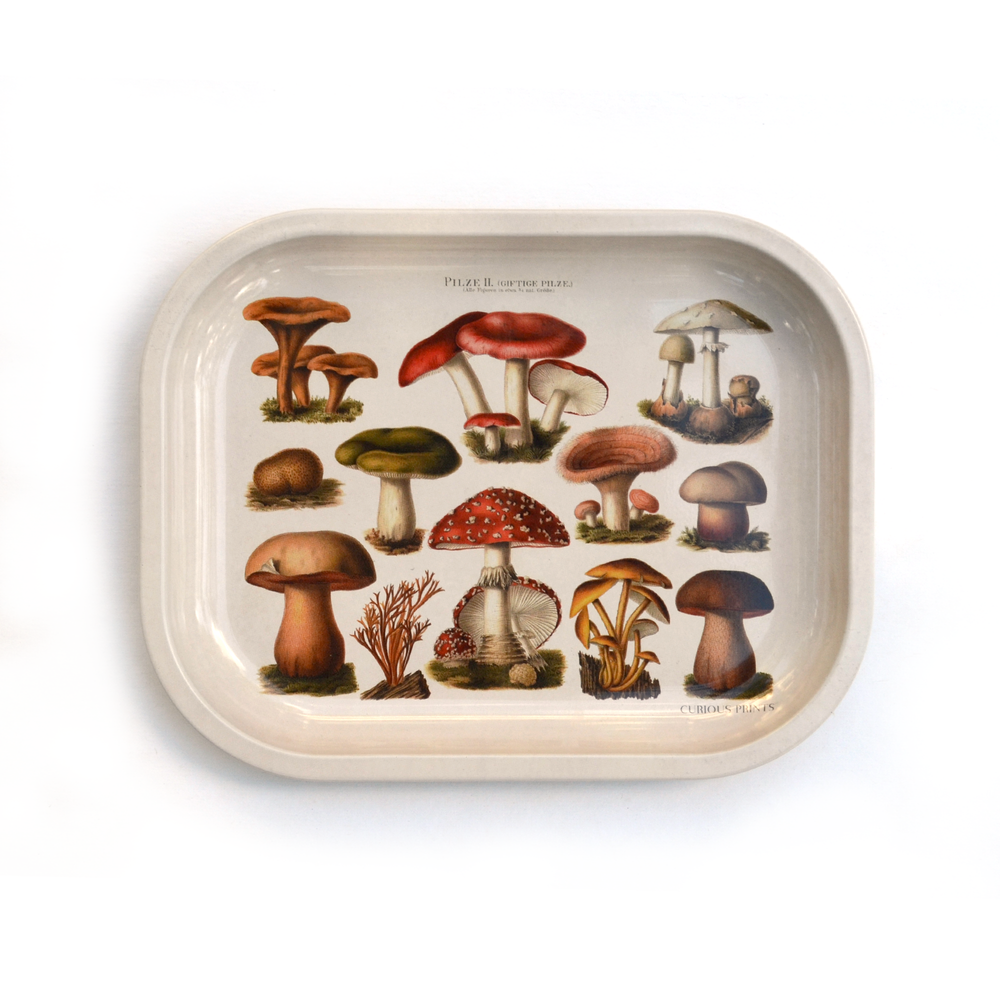 Small Metal Tan Mushroom Ritual Tray / Vintage Fungi Print