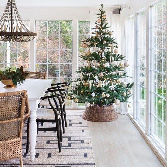 Silver Tip Christmas Trees & Decorating Options