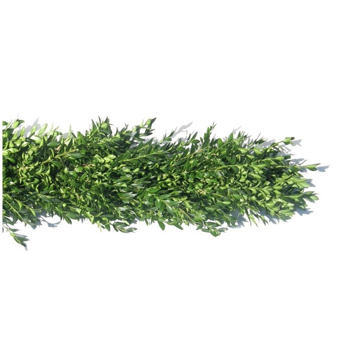 
            
                Load image into Gallery viewer, Fresh Holiday Greens Garland Varieties (price per foot)
            
        
