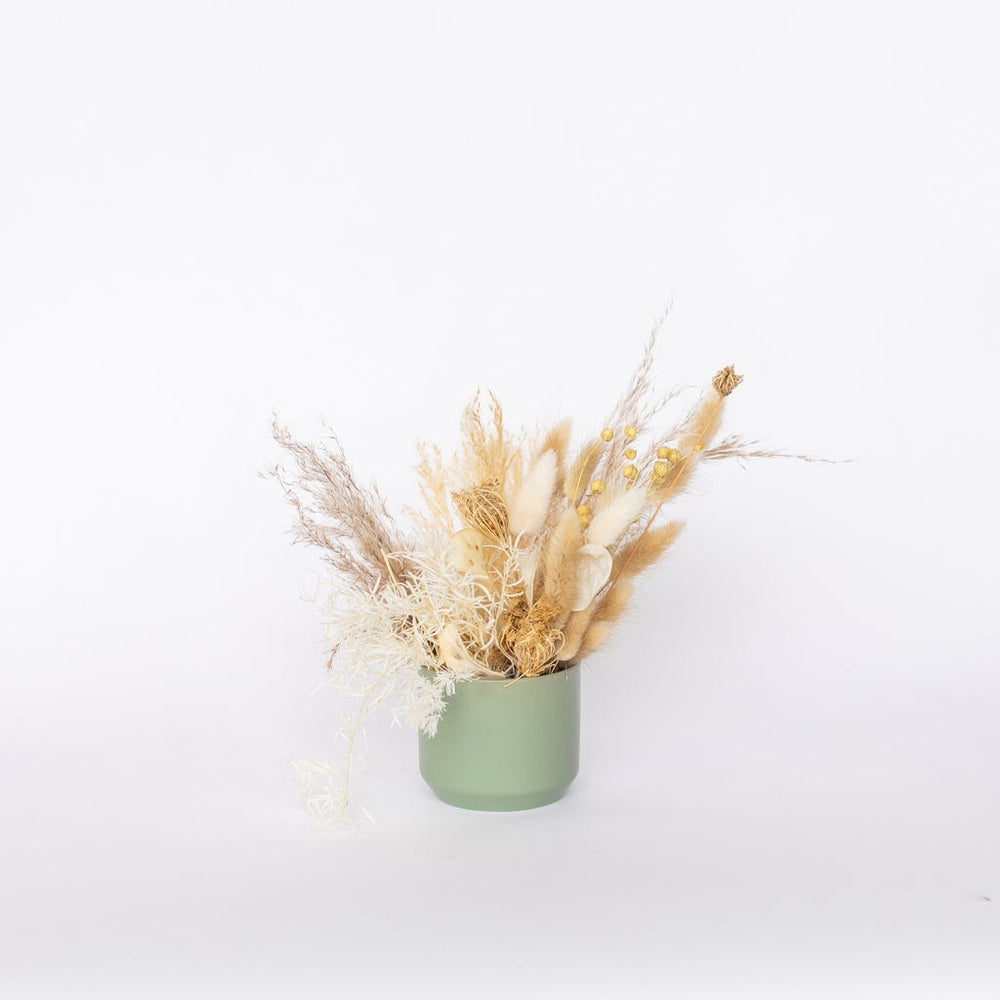 Dried Floral Bud Vases